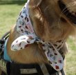 画像1: 大型 犬 ひんやり 4XL 中型犬 大型犬 夏 クール スカーフ 熱中症対策 冷却 保冷剤 doggystar ドッギースター 即日 出荷出来ます (1)