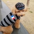 画像6: 犬服 おしゃれ ノースリーブ S M L XL 小型犬 中型犬 春夏秋冬 ボーダー Vネック Tシャツ 即日出荷出来ます (6)