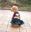 画像7: 犬服 くま 可愛い ワンピース S M L XL 小型犬 中型犬 秋冬  即日出荷出来ます (7)