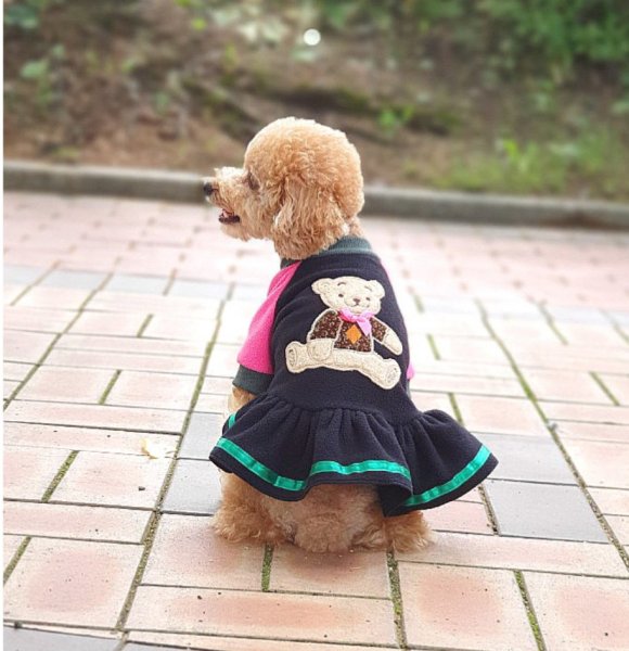 画像7: 犬服 くま 可愛い ワンピース S M L XL 小型犬 中型犬 秋冬 doggystar ドッギースター 即日出荷出来ます (7)