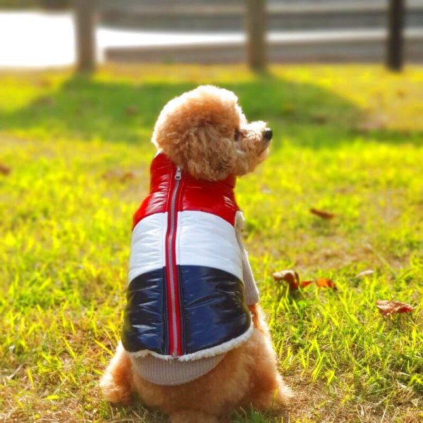 画像14: 犬服 セール ダウン ベスト S M L XL 小型犬 中型犬 秋 冬 ジャンパー コート 軽量 保温 doggystar ドッギースター  即日発送致します (14)