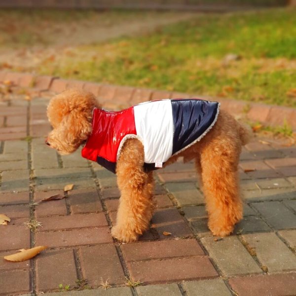 画像12: 犬服 セール ダウン ベスト S M L XL 小型犬 中型犬 秋 冬 ジャンパー コート 軽量 保温 doggystar ドッギースター  即日発送致します (12)