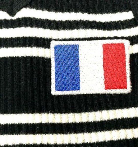 画像5: 犬服 おしゃれ ノースリーブ S M L XL 小型犬 中型犬 春夏秋冬 ボーダー Vネック Tシャツ doggystar ドッギースター  即日出荷出来ます (5)