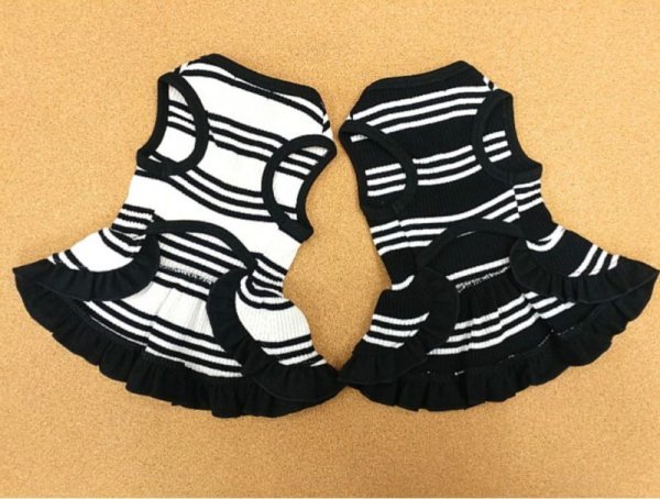 画像3: 犬服 おしゃれ  S M L XL 小型犬 中型犬 春夏秋冬 シンプル Vネック ボーダー ワンピース doggystar ドッギースター  即日出荷出来ます (3)