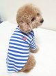 画像10: 犬服 長袖 XS S M L XL 小型犬 中型犬 春秋 USA シンプル ボーダー Tシャツ (10)