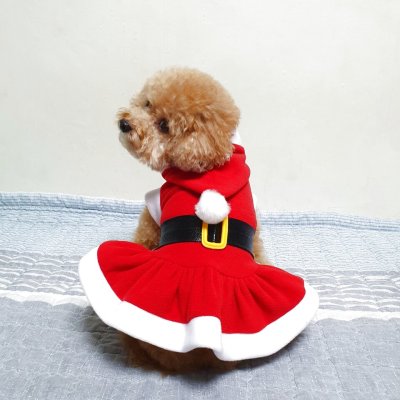 画像2: 犬服 かわいい S M L XL 冬服 クリスマス サンタ フリース ワンピース 即日出荷出来ます