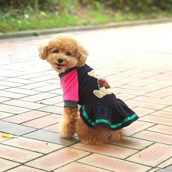 画像8: 犬服 くま 可愛い ワンピース S M L XL 小型犬 中型犬 秋冬 doggystar ドッギースター 即日出荷出来ます (8)