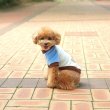 画像5: 犬服 くま Tシャツ S M L XL 小型犬 中型犬  秋 冬フリース 軽量 保温 トレーナー 即日出荷出来ます (5)