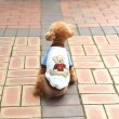 画像6: 犬服 くま Tシャツ S M L XL 小型犬 中型犬  秋 冬フリース 軽量 保温 トレーナー 即日出荷出来ます (6)