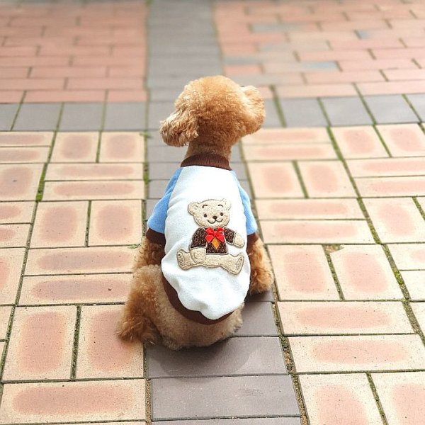 画像6: 犬服 くま Tシャツ S M L XL 小型犬 中型犬  秋 冬フリース 軽量 保温 トレーナー doggystar ドッギースター  即日出荷出来ます (6)
