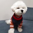 画像10: 犬服 かわいい Tシャツ もこもこ アウトドアスタイル フリース ジップアップ ベスト S M L XL 即日出荷出来ます doggystar ドッギースター (10)