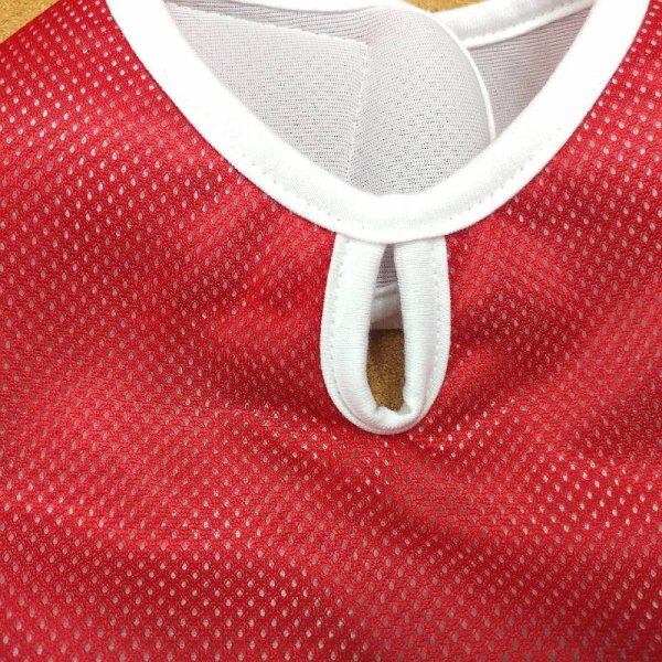 画像3: 大型 犬 服 4XL セール 中型犬 大型犬 夏 クール ベスト ひんやり服 メッシュ 保冷剤 (別購入）熱中症対策 doggystar ドッギースター 即日 出荷出来ます (3)