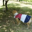 画像12: 大型 犬服 2XL 中型犬 大型犬 ひんやり 服  夏 メッシュ 保冷剤 クール ベスト doggystar ドッギースター 即日 出荷出来ます (12)