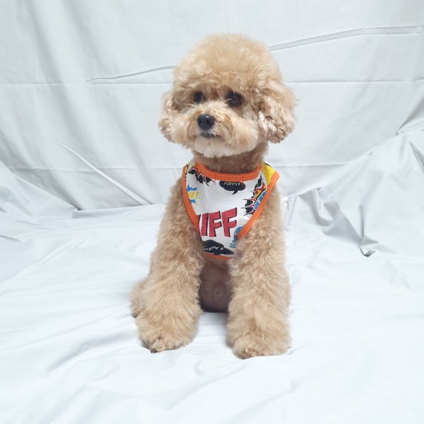 画像9: 犬服 タンクトップ かっこいい コミック柄 Tシャツ  S M L XL 2XL 3XL 4XL 5XL 6XL 小型犬 中型犬 大型犬 春夏秋冬 doggystar ドッギースター  即日発送できます (9)