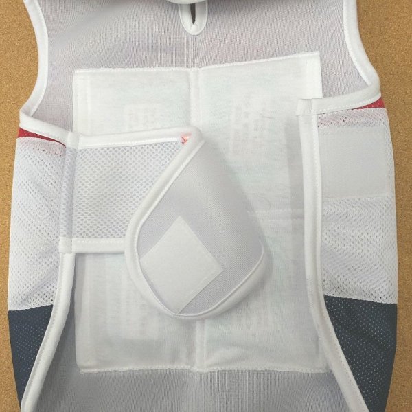 画像5: 大型 犬 服 4XL セール 中型犬 大型犬 夏 クール ベスト ひんやり服 メッシュ 保冷剤 (別購入）熱中症対策 doggystar ドッギースター 即日 出荷出来ます (5)