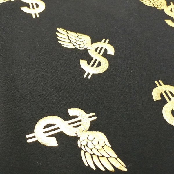 画像6: 大型 犬 服 Tシャツ 3XL 中型犬 大型犬 春 夏 秋 冬 プリント BOY doggystar ドッギースター 即日 出荷出来ます (6)