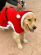 画像9: 大型 犬 服 ワンピース 4XL 中型犬 大型犬 冬 クリスマス サンタ 袖なし 軽量 フリース パーカー (9)