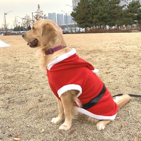 画像1: 大型 犬服 Tシャツ 3XL 中型犬 大型犬 冬 クリスマス サンタ 袖なし 軽量 フリース パーカー  (1)