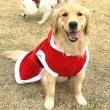 画像8: 大型 犬 服 ワンピース 4XL 中型犬 大型犬 冬 クリスマス サンタ 袖なし 軽量 フリース パーカー (8)