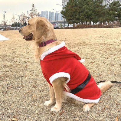 画像3: 大型 犬 服 ワンピース 4XL 中型犬 大型犬 冬 クリスマス サンタ 袖なし 軽量 フリース パーカー