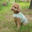 画像11: 犬服 クール 胴輪  夏 S M L XL 小型 犬 中型 犬 メッシュ 保冷剤 ベスト ハーネス 熱中症対策 即日出荷出来ます (11)