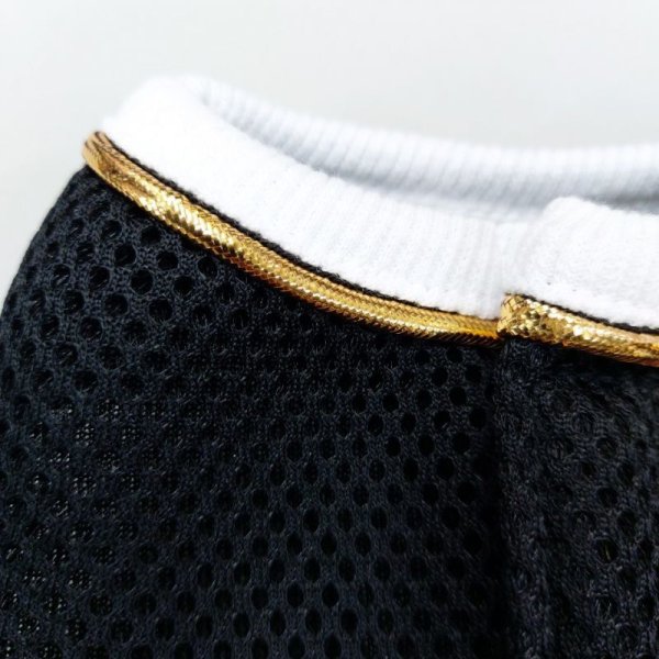 画像4: 犬の ハーネス リード付き 胴輪 セール S M L XL 小型 犬 中型 犬 春 夏 秋 冬マウス doggystar ドッギースター 即日出荷出来ます (4)