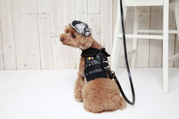 画像8: 犬の ハーネス リード付き 胴輪 セール S M L XL 小型 犬 中型 犬 春 夏 秋 冬 かっこいい ロッカーズ 即日出荷できます (8)