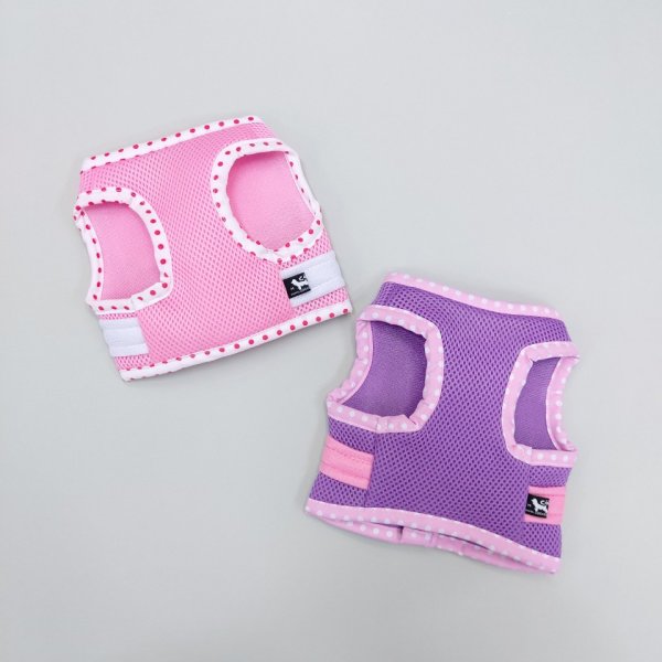 画像2: 犬の ハーネス 胴輪 リード付き セール S M L XL 小型 犬 中型 犬 春 夏 秋 冬 天使の羽ハーネス doggystar ドッギースター 即日出荷出来ます (2)