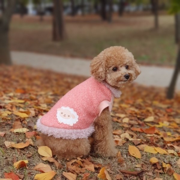 画像1: 犬 服 Tシャツ セール もこもこ Aライン ひつじさん S M L XL 小型 犬 中型 犬 秋 冬 可愛い 犬服 おしゃれ 保温 即日 出荷出来ます (1)