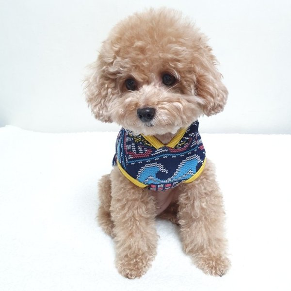 画像6: 犬 服 Tシャツ セール アウトレット S M L XL 小型 犬 中型 犬 袖なし パーカー 綿 春 夏 秋 冬 セール品 デジタル doggystar ドッギースター 即日 出荷出来ます (6)