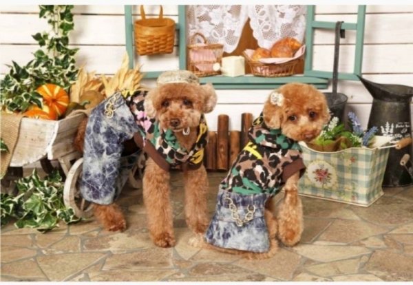 画像7: 犬 服 セール ロンパース  ワンピース  XS S M L XL 小型  犬中型 犬   ヒョウ柄 パーカー デニム  doggystar ドッギースター 即日 出荷出来ます (7)