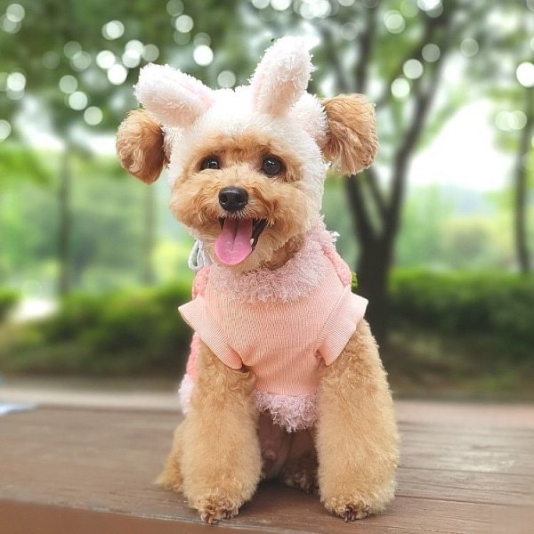 画像8: 犬 服 Tシャツ セール もこもこ Aライン ひつじさん S M L XL 小型 犬 中型 犬 秋 冬 可愛い 犬服 おしゃれ 保温 doggystar ドッギースター 即日 発送出来ます (8)