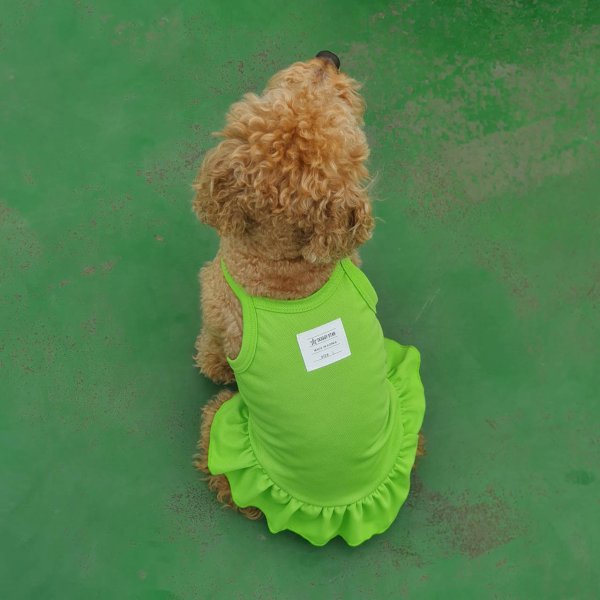 画像15: 犬服  夏 XS S M L XL 小型犬 中型犬 接触 冷感 ひんやり クール ワンピース doggystar ドッギースター  即日出荷出来ます (15)