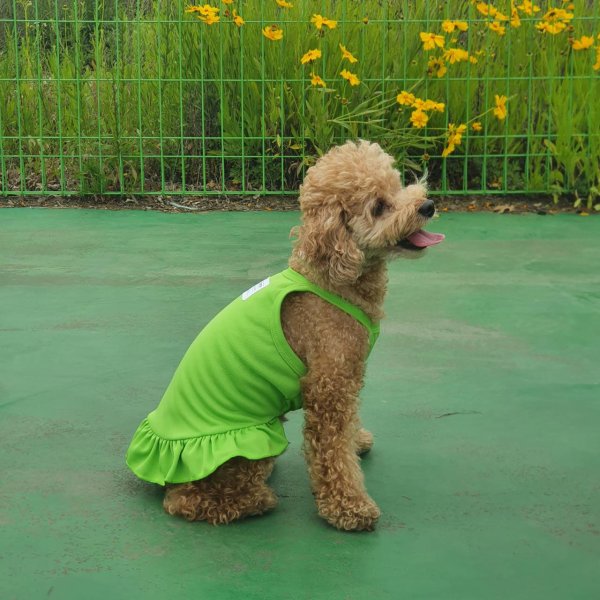 画像16: 犬服  夏 XS S M L XL 小型犬 中型犬 接触 冷感 ひんやり クール ワンピース doggystar ドッギースター  即日出荷出来ます (16)