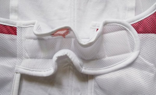 画像4: 大型 犬服 2XL セール 中型犬 大型犬 ひんやり 服  夏 メッシュ 保冷剤 (別購入） クール ベスト doggystar ドッギースター 即日 出荷出来ます (4)