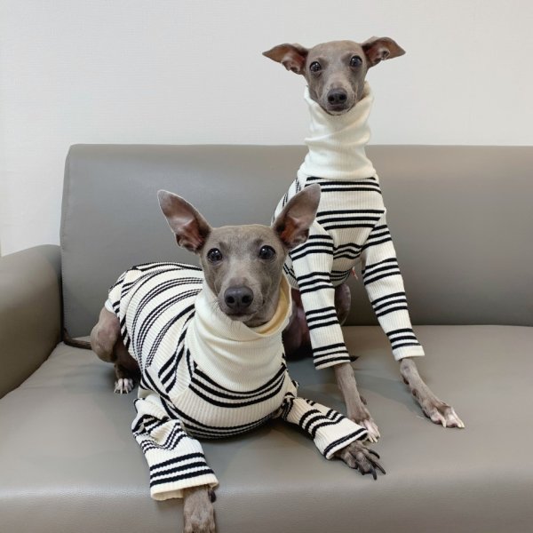 画像26: イタグレ服 S M L XL 2XL 3XL ハイネック ストライプ 長袖Tシャツ 小型犬 中型犬 大型犬 春 夏 秋 冬 doggystar ドッギースター 即日出荷出来ます (26)