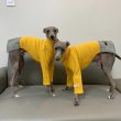 画像14: イタグレ服 セール 小型犬 中型犬 doggystar 長袖ハイネック チェック ワンピース 犬のワンピース 即日出荷出来ます (14)