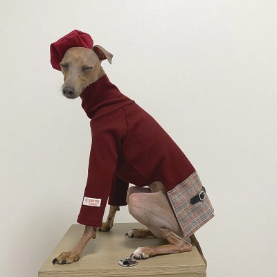 画像2: イタグレ服 セール 小型犬 中型犬 doggystar 長袖ハイネック チェック ワンピース 犬のワンピース 即日出荷出来ます