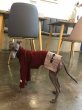 画像17: イタグレ服 セール 小型犬 中型犬 doggystar 長袖ハイネック チェック ワンピース 犬のワンピース 即日出荷出来ます (17)