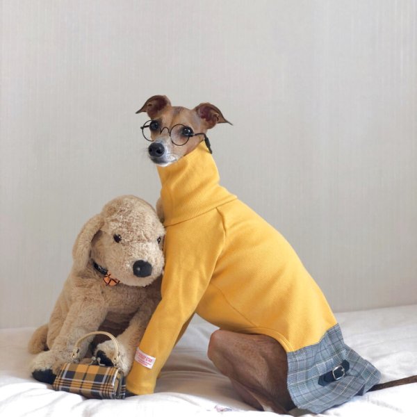 画像1: イタグレ服 セール 小型犬 中型犬 doggystar 長袖ハイネック チェック ワンピース 犬のワンピース 即日出荷出来ます (1)