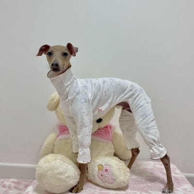 画像3:  イタグレ服 S M L XL 小型犬 中型犬 春夏秋冬 doggystar パジャマ ロンパース つなぎ 即日出荷出来ます