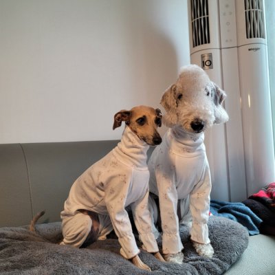 画像2:  イタグレ服 S M L XL 小型犬 中型犬 春夏秋冬 doggystar パジャマ ロンパース つなぎ 即日出荷出来ます