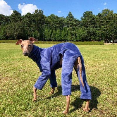 画像2: イタグレ服 セール S M L XL 小型犬 中型犬 秋冬服 doggystar 起毛ロンパース つなぎ 即日出荷出来ます