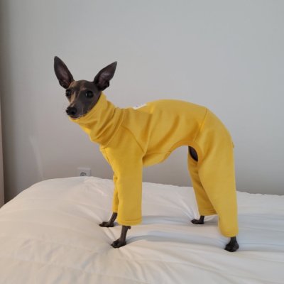 画像1: イタグレ服 セール S M L XL 小型犬 中型犬 秋冬服 doggystar 起毛ロンパース つなぎ 即日出荷出来ます