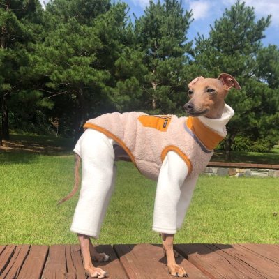 画像1: イタグレ服 S M L XL 小型犬 中型犬 秋冬服 doggystar ファスナー フリース ベスト 即日出荷出来ます