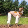 画像16: イタグレ服 S M L XL 小型犬 中型犬 秋冬服 doggystar ファスナー フリース ベスト 即日出荷出来ます (16)