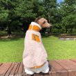 画像1: イタグレ服 S M L XL 小型犬 中型犬 秋冬服 doggystar ファスナー フリース ベスト 即日出荷出来ます (1)