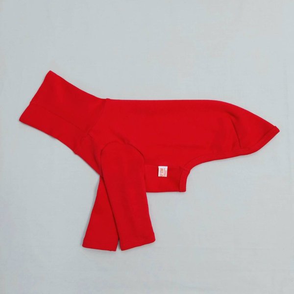 画像11: イタグレ服 S M L XL 2XL 3XL 10カラーTシャツ 小型犬 中型犬 大型犬 春 夏 秋 冬 doggystar ドッギースター 即日出荷出来ます (11)