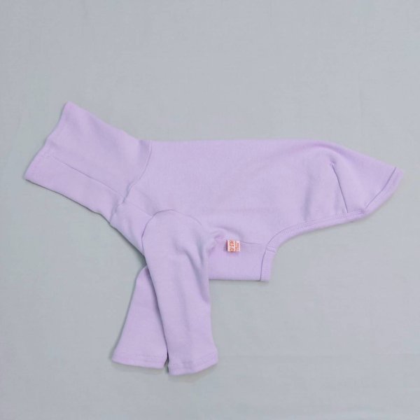 画像7: イタグレ服 S M L XL 2XL 3XL 10カラーTシャツ 小型犬 中型犬 大型犬 春 夏 秋 冬 doggystar ドッギースター 即日出荷出来ます (7)