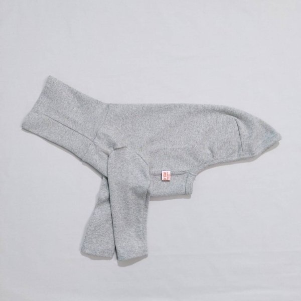 画像6: イタグレ服 S M L XL 2XL 3XL 10カラーTシャツ 小型犬 中型犬 大型犬 春 夏 秋 冬 doggystar ドッギースター 即日出荷出来ます (6)